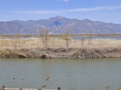 -野鸭湖国家湿地公园