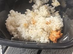 -上海野生动物园老虎餐厅