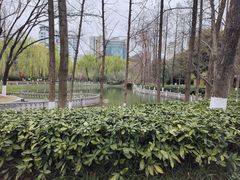 -绵阳人民公园(涪城区)