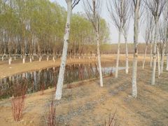 -东郊湿地公园