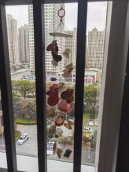 -中法母婴月子中心(南湖创始店)