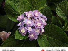-中国科学院华南植物园