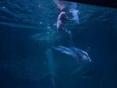 -海合安成都极地海洋公园