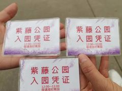 -嘉定紫藤园