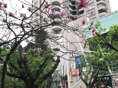 -永和大王(华侨城店)