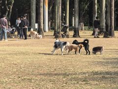 -燕晗山郊野公园