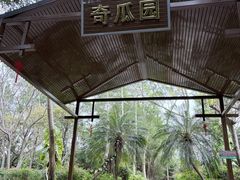 -广东茂名森林公园