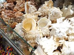 -大连双兴商品城