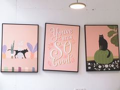 -有猫主题·治愈系猫咖(曾厝垵店)