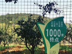 -青龙山国家森林公园