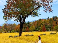 -塔川景区