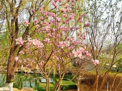 -大兴滨河森林公园