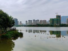 -飞来湖湿地公园