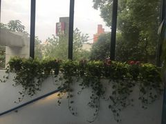 -长沙猫歌音乐餐厅(湖南女子大学店)