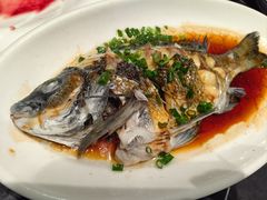-金海湾海鲜排档(朱家尖店)