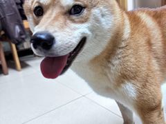 -鑫巴蜀小镇 · 水煮鱼专研店(玉桥店)
