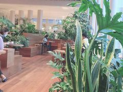 -Seesaw Coffee(朝阳大悦城店)