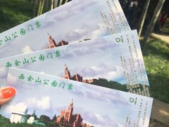 -上海佘山国家森林公园西佘山园