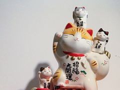 -团子君寿司·茶