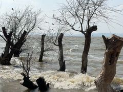 -捞渔河湿地公园