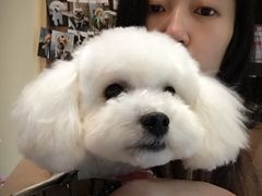 -Oh My Dog宠物沙龙(伊珊娜皮毛护理店)