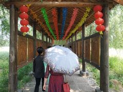 -长兴太湖图影湿地文化园