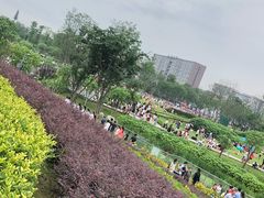 -天府芙蓉园
