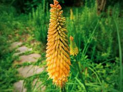 -浙江农林大学(东湖校区)