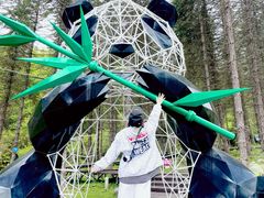 -硗碛藏寨·神木垒景区