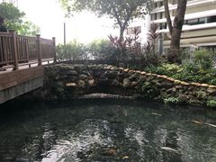 -香港大学