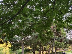 -山东省青岛第二中学(江西路分校)