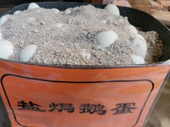 -沙湾姜撞奶(十四涌店)