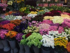 -双季花艺园艺市场(浦东店)