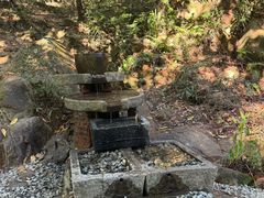 -广州白江湖森林公园