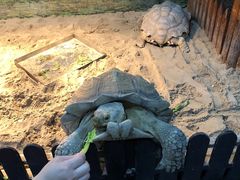 -上海大自然野生昆虫馆