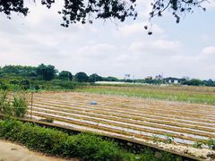 -米岗农庄