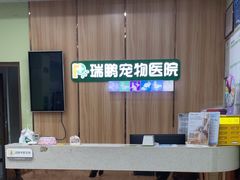 -瑞鹏宠物医院·夜间急症·心超·猫科(祖庙分店)