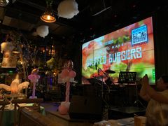 -胡桃里音乐酒馆(石家庄店)