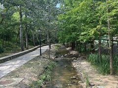 -白水寺森林公园