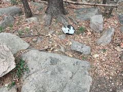 -崂山九水游览区