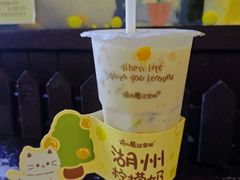 -猫的魔法密林(衣裳街店)