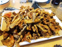 -人民公社大食堂(顺义总店)