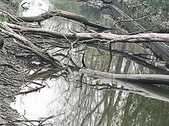 -上海滨江森林公园