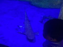 -秦皇岛新澳海底世界