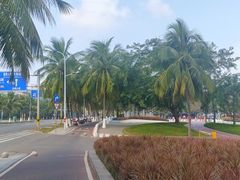 -西秀海滩公园