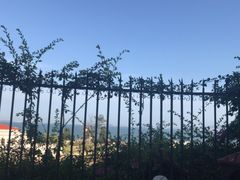 -鼓浪屿钢琴博物馆