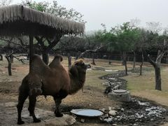 -西安秦岭野生动物园