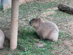 -云南野生动物园
