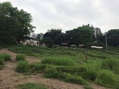 -黄桷坪涂鸦艺术街