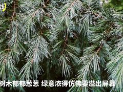 -安徽博物院新馆